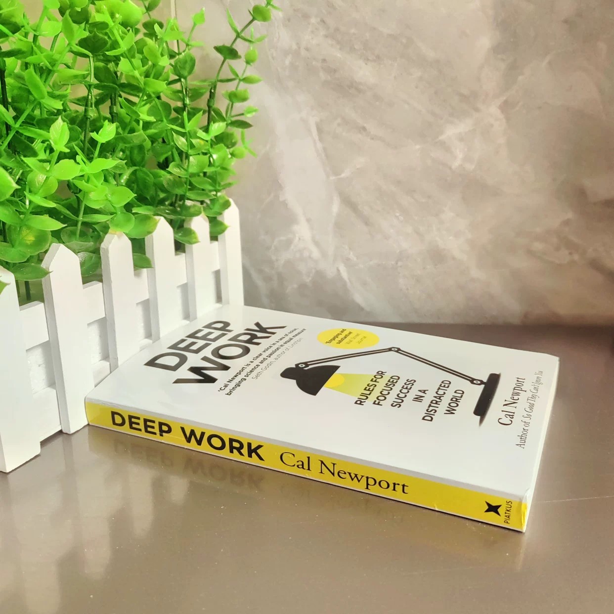 งานลึกซึ้ง โดย แคล นิวพอร์ต |  - Renewable Energy Books บทวิจารณ์และราคา
